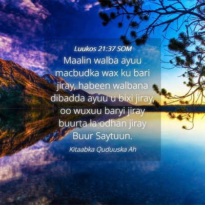 Picture 04 - Luukos 21:37 SOM - Maalin walba ayuu macbudka wax ku bari jiray, - Bible Verse Picture
