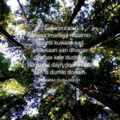 Picture 04 - Luukos 21:6 SOM - Waxaa imanaya maalmo goortii kuwaas aad arkaysaan - Bible Verse Picture