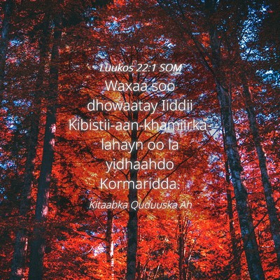 Picture 04 - Luukos 22:1 SOM - Waxaa soo dhowaatay Iiddii - Bible Verse Picture