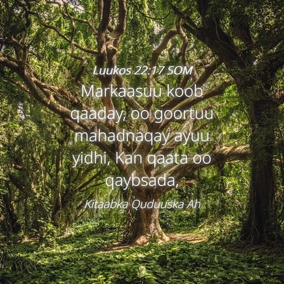 Picture 04 - Luukos 22:17 SOM - Markaasuu koob qaaday, oo goortuu mahadnaqay ayuu - Bible Verse Picture