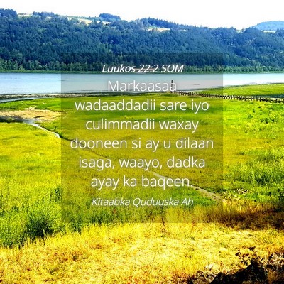 Picture 04 - Luukos 22:2 SOM - Markaasaa wadaaddadii sare iyo culimmadii waxay - Bible Verse Picture