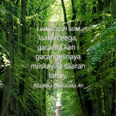 Picture 04 - Luukos 22:21 SOM - laakiin eega, gacanta kan i gacangelinaya miiskay - Bible Verse Picture