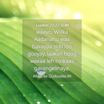 Picture 04 - Luukos 22:22 SOM - waayo, Wiilka Aadanahu waa baxayaa sidii loo - Bible Verse Picture