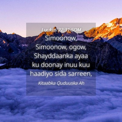 Picture 04 - Luukos 22:31 SOM - Simoonow, Simoonow, ogow, Shayddaanka ayaa ku - Bible Verse Picture