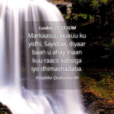 Picture 04 - Luukos 22:33 SOM - Markaasuu wuxuu ku yidhi, Sayidow, diyaar baan u - Bible Verse Picture