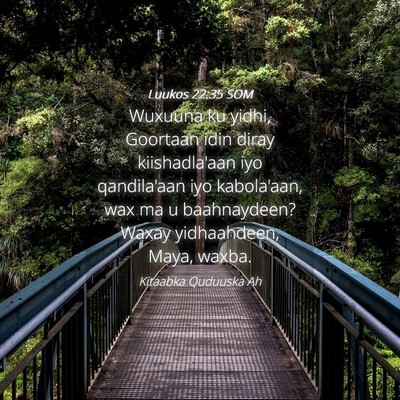 Picture 04 - Luukos 22:35 SOM - Wuxuuna ku yidhi, Goortaan idin diray - Bible Verse Picture