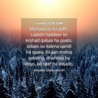Picture 04 - Luukos 22:36 SOM - Markaasuu ku yidhi, Laakiin haddeer kii kiishad - Bible Verse Picture