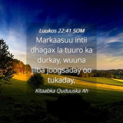 Picture 04 - Luukos 22:41 SOM - Markaasuu intii dhagax la tuuro ka durkay, wuuna - Bible Verse Picture