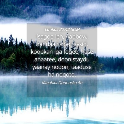 Picture 04 - Luukos 22:42 SOM - isagoo leh, Aabbow, haddaad doonaysid, koobkan - Bible Verse Picture