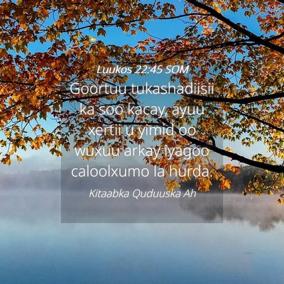 Picture 04 - Luukos 22:45 SOM - Goortuu tukashadiisii ka soo kacay, ayuu xertii u - Bible Verse Picture
