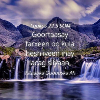 Picture 04 - Luukos 22:5 SOM - Goortaasay farxeen oo kula heshiiyeen inay lacag - Bible Verse Picture