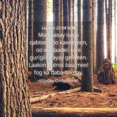 Picture 04 - Luukos 22:54 SOM - Markaasay isagii qabteen oo kaxeeyeen, oo - Bible Verse Picture