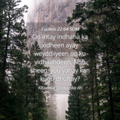 Picture 04 - Luukos 22:64 SOM - Oo intay indhaha ka xidheen ayay weyddiiyeen oo - Bible Verse Picture