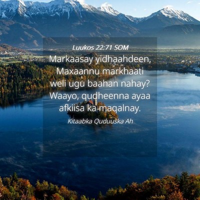 Picture 04 - Luukos 22:71 SOM - Markaasay yidhaahdeen, Maxaannu markhaati weli - Bible Verse Picture