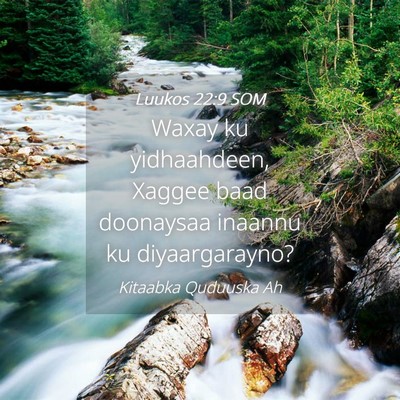 Picture 04 - Luukos 22:9 SOM - Waxay ku yidhaahdeen, Xaggee baad doonaysaa - Bible Verse Picture