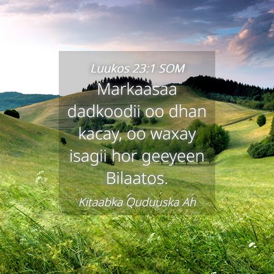 Picture 04 - Luukos 23:1 SOM - Markaasaa dadkoodii oo dhan kacay, oo waxay - Bible Verse Picture