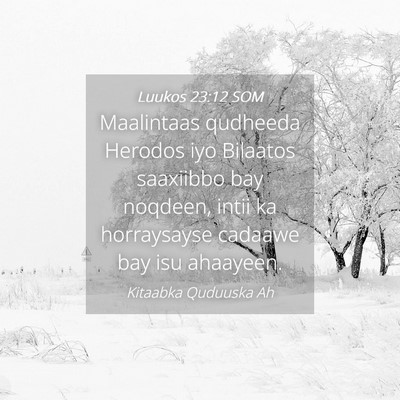 Picture 04 - Luukos 23:12 SOM - Maalintaas qudheeda Herodos iyo Bilaatos - Bible Verse Picture