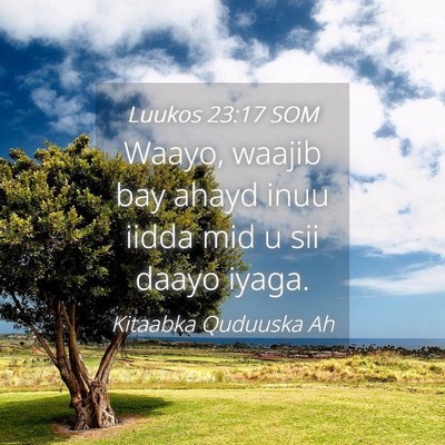 Picture 04 - Luukos 23:17 SOM - Waayo, waajib bay ahayd inuu iidda mid u sii - Bible Verse Picture