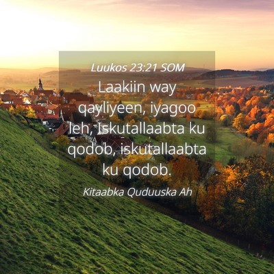 Picture 04 - Luukos 23:21 SOM - Laakiin way qayliyeen, iyagoo leh, Iskutallaabta - Bible Verse Picture