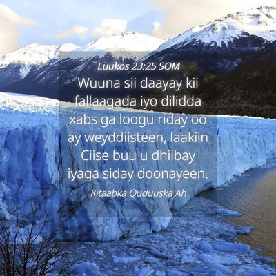 Picture 04 - Luukos 23:25 SOM - Wuuna sii daayay kii fallaagada iyo dilidda - Bible Verse Picture