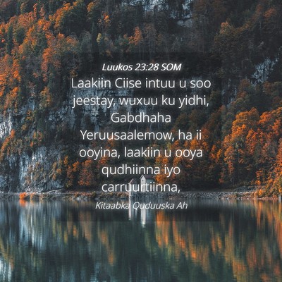 Picture 04 - Luukos 23:28 SOM - Laakiin Ciise intuu u soo jeestay, wuxuu ku - Bible Verse Picture