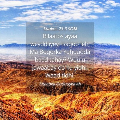 Picture 04 - Luukos 23:3 SOM - Bilaatos ayaa weyddiiyey, isagoo leh, Ma Boqorka - Bible Verse Picture