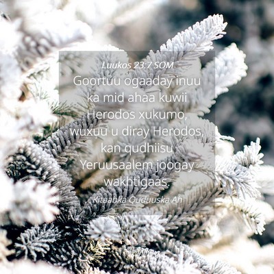 Picture 04 - Luukos 23:7 SOM - Goortuu ogaaday inuu ka mid ahaa kuwii Herodos - Bible Verse Picture