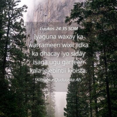 Picture 04 - Luukos 24:35 SOM - Iyaguna waxay ka warrameen wixii jidka ka dhacay - Bible Verse Picture