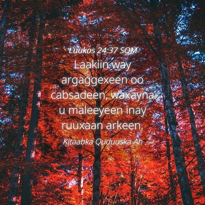 Picture 04 - Luukos 24:37 SOM - Laakiin way argaggexeen oo cabsadeen, waxayna u - Bible Verse Picture