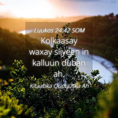 Picture 04 - Luukos 24:42 SOM - Kolkaasay waxay siiyeen in kalluun duban - Bible Verse Picture