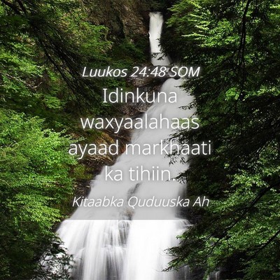 Picture 04 - Luukos 24:48 SOM - Idinkuna waxyaalahaas ayaad markhaati ka - Bible Verse Picture