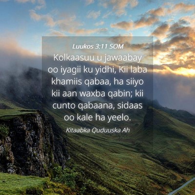 Picture 04 - Luukos 3:11 SOM - Kolkaasuu u jawaabay oo iyagii ku yidhi, Kii laba - Bible Verse Picture
