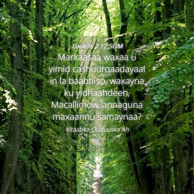 Picture 04 - Luukos 3:12 SOM - Markaasaa waxaa u yimid cashuurqaadayaal in la - Bible Verse Picture