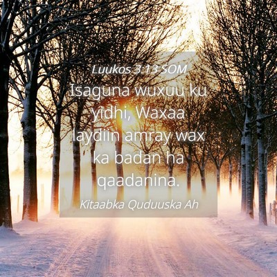 Picture 04 - Luukos 3:13 SOM - Isaguna wuxuu ku yidhi, Waxaa laydiin amray wax - Bible Verse Picture