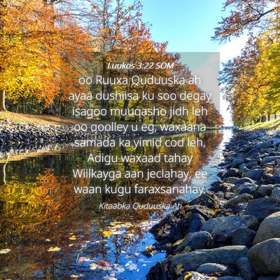 Picture 04 - Luukos 3:22 SOM - oo Ruuxa Quduuska ah ayaa dushiisa ku soo degay - Bible Verse Picture