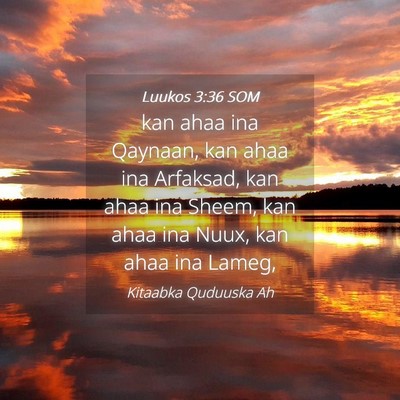 Picture 04 - Luukos 3:36 SOM - kan ahaa ina Qaynaan, kan ahaa ina Arfaksad, kan - Bible Verse Picture