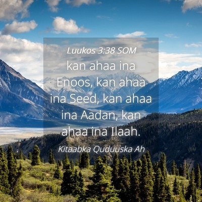 Picture 04 - Luukos 3:38 SOM - kan ahaa ina Enoos, kan ahaa ina Seed, kan ahaa - Bible Verse Picture
