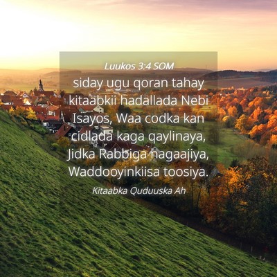 Picture 04 - Luukos 3:4 SOM - siday ugu qoran tahay kitaabkii hadallada Nebi - Bible Verse Picture