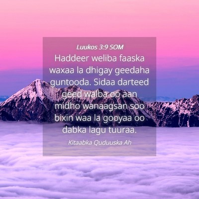 Picture 04 - Luukos 3:9 SOM - Haddeer weliba faaska waxaa la dhigay geedaha - Bible Verse Picture
