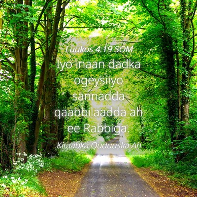 Picture 04 - Luukos 4:19 SOM - Iyo inaan dadka ogeysiiyo sannadda qaabbilaadda - Bible Verse Picture