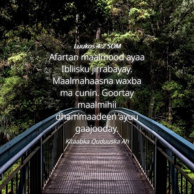 Picture 04 - Luukos 4:2 SOM - Afartan maalmood ayaa Ibliisku jirrabayay. - Bible Verse Picture