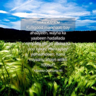 Picture 04 - Luukos 4:22 SOM - Kulligood markhaati bay ahaayeen, wayna ka - Bible Verse Picture