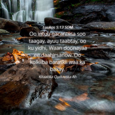 Picture 04 - Luukos 5:13 SOM - Oo intuu gacantiisa soo taagay, ayuu taabtay, oo - Bible Verse Picture