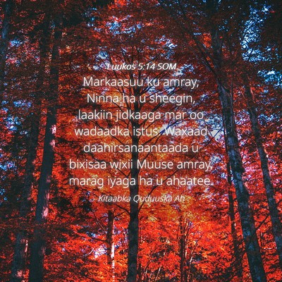 Picture 04 - Luukos 5:14 SOM - Markaasuu ku amray, Ninna ha u sheegin, laakiin - Bible Verse Picture