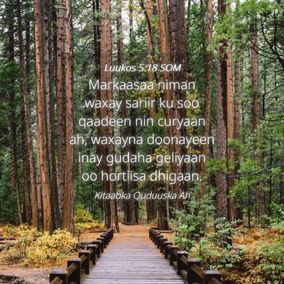 Picture 04 - Luukos 5:18 SOM - Markaasaa niman waxay sariir ku soo qaadeen nin - Bible Verse Picture