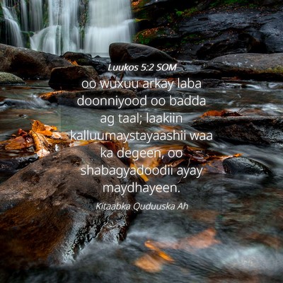 Picture 04 - Luukos 5:2 SOM - oo wuxuu arkay laba doonniyood oo badda ag taal; - Bible Verse Picture