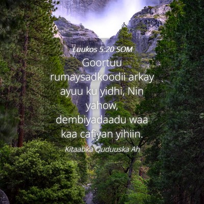 Picture 04 - Luukos 5:20 SOM - Goortuu rumaysadkoodii arkay ayuu ku yidhi, Nin - Bible Verse Picture