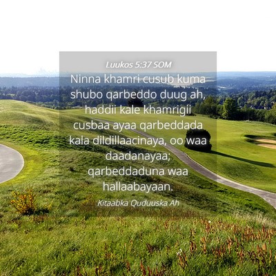Picture 04 - Luukos 5:37 SOM - Ninna khamri cusub kuma shubo qarbeddo duug ah, - Bible Verse Picture