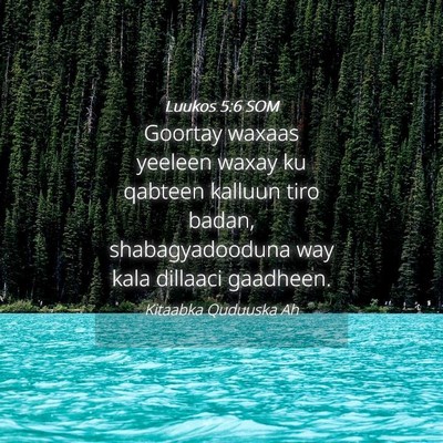 Picture 04 - Luukos 5:6 SOM - Goortay waxaas yeeleen waxay ku qabteen kalluun - Bible Verse Picture