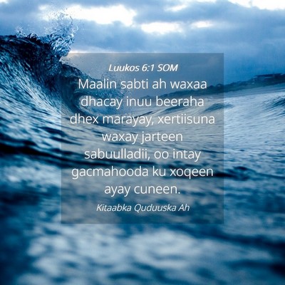 Picture 04 - Luukos 6:1 SOM - Maalin sabti ah waxaa dhacay inuu beeraha dhex - Bible Verse Picture